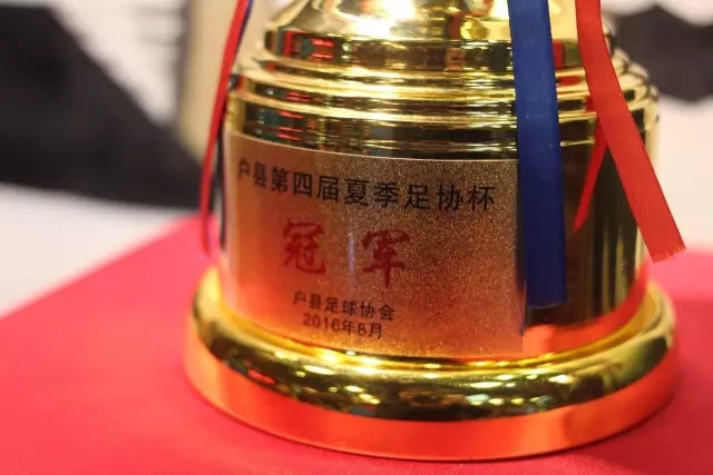 听阿里汉讲述国足往事：郑智当年应该去拜仁试试
